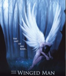 Angel Romance