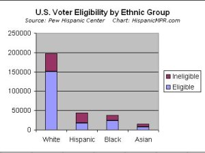 U.S. voters by ethnic group in 2006