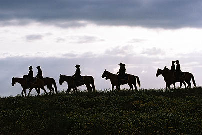 Sometimes the United States Border Patrol utilizes horses in difficult terrain