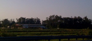 An agricultural field