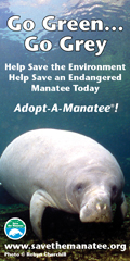 Save the manatee