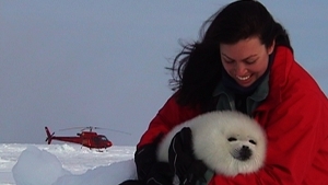 Baby seal scene from the film