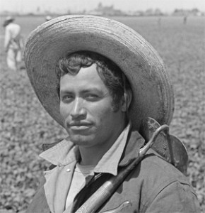 Bracero in the field, 1956