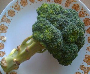 Broccoli